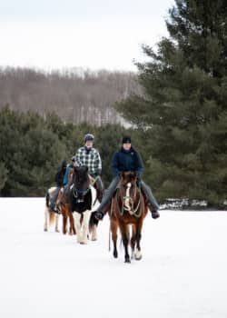 Discover Holiday Magic at The Highlands with Adventure Center Activities