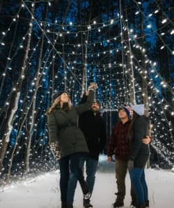 Discover Holiday Magic at The Highlands with the Enchanted Trail